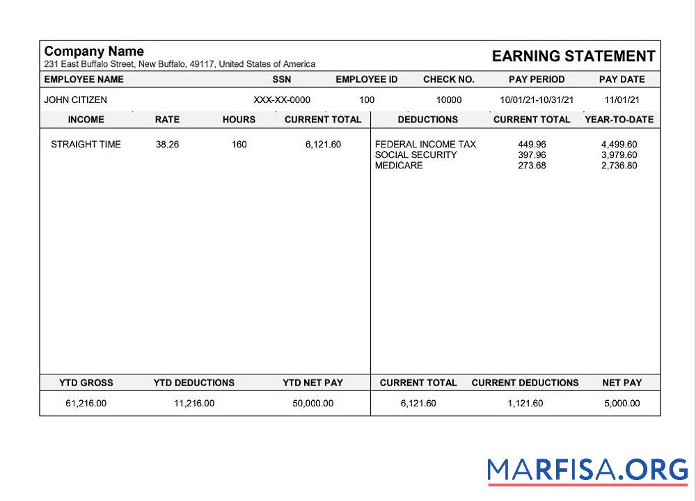 Realistic USA Michigan pay stub in format download for verification